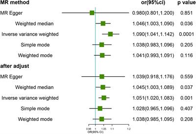 Frailty and hearing loss: From association to causation